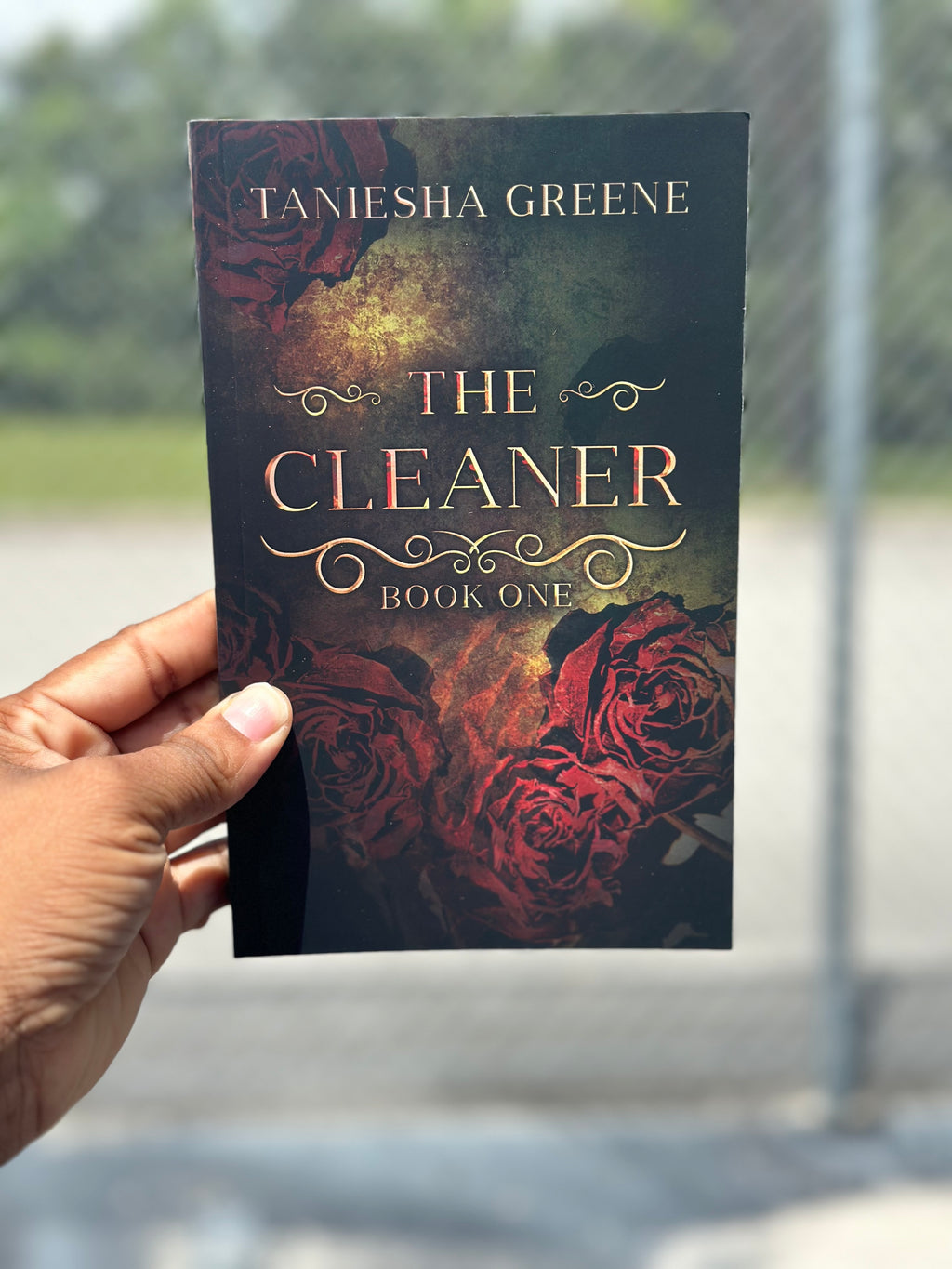 The Cleaner (The Cleaners Series)