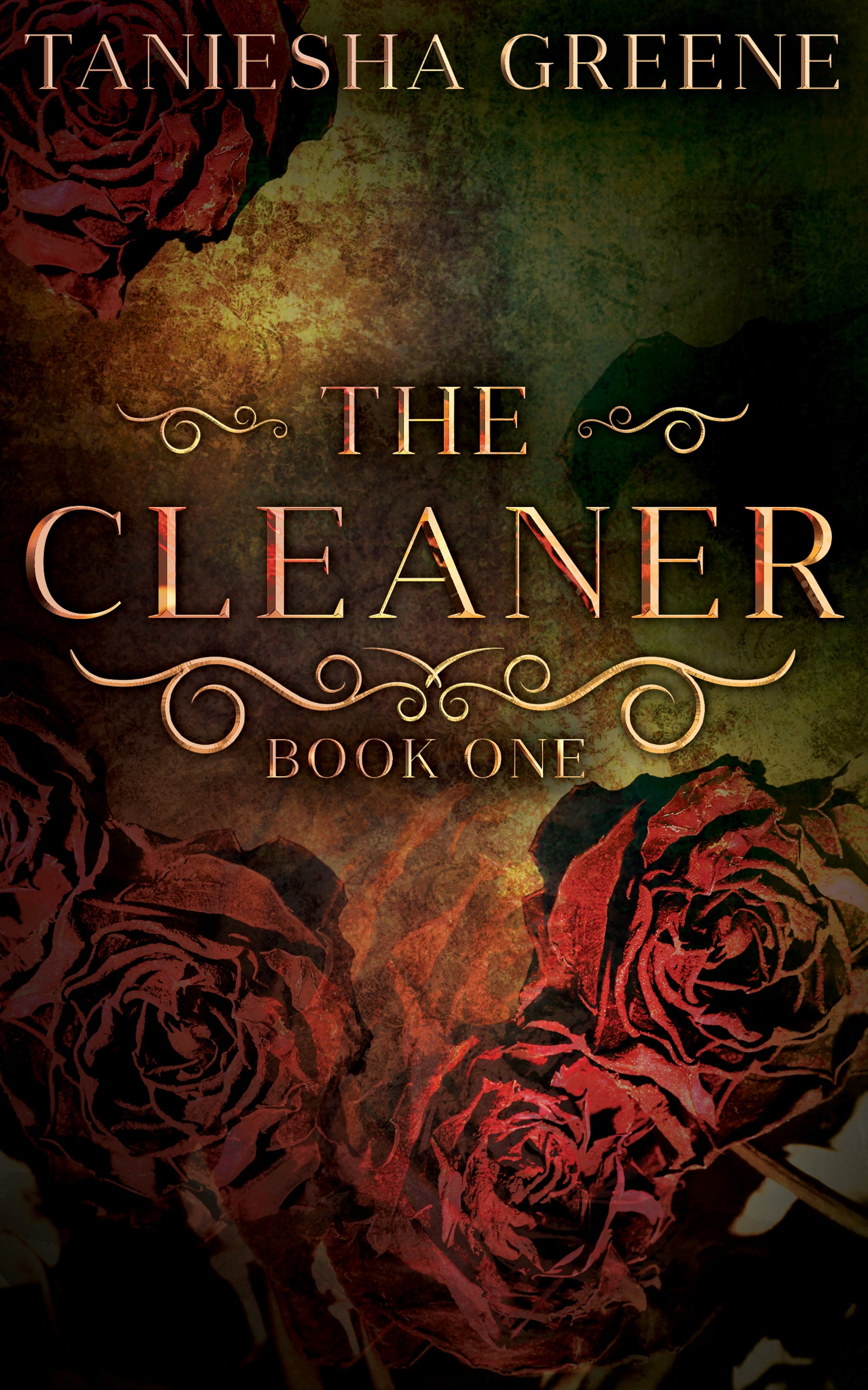 The Cleaner (The Cleaners Series)