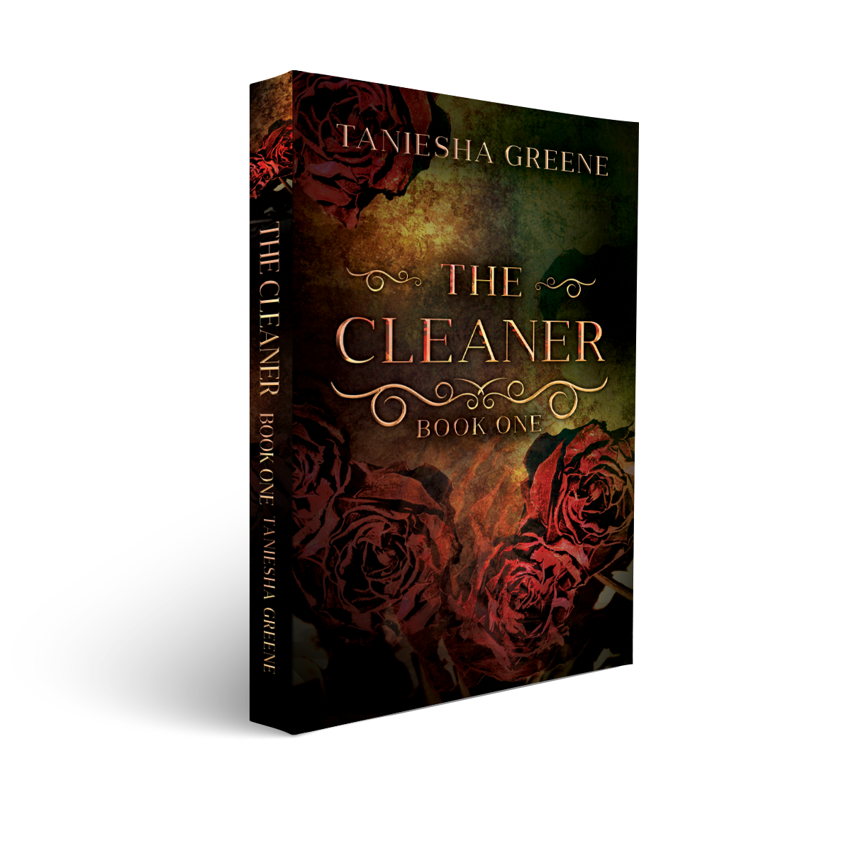 The Cleaner (The Cleaners Series)