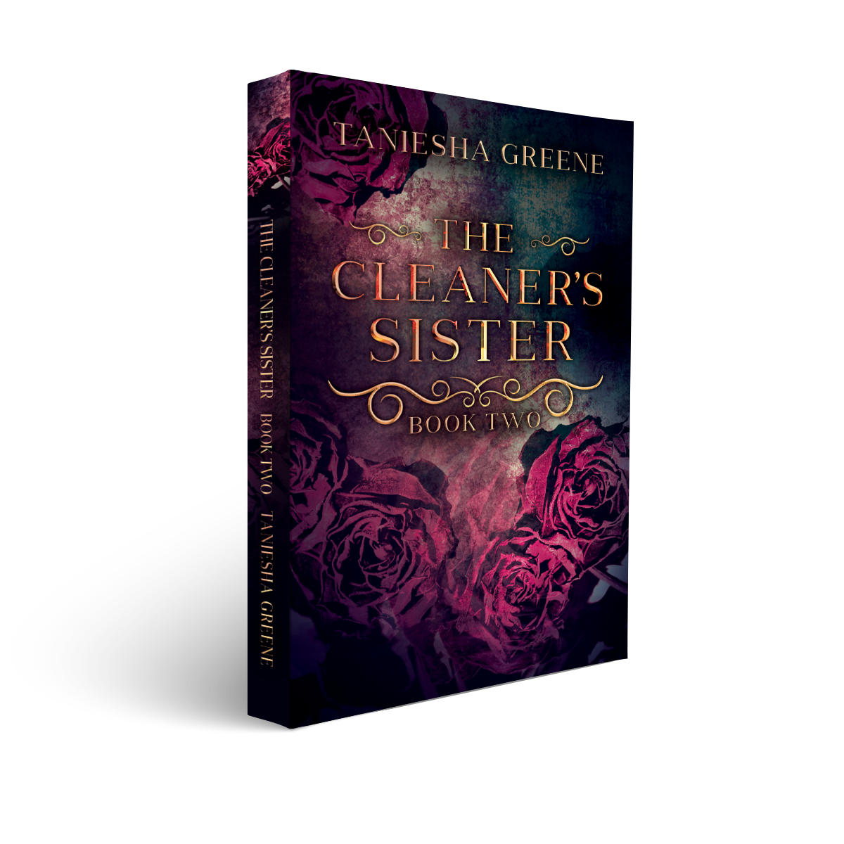 The Cleaner’s Duet Box Set